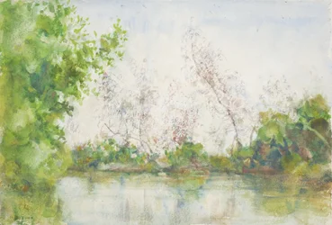 Mangrove, 1924